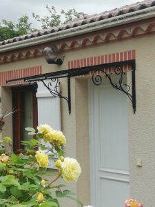 IMG_20240702_155459