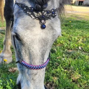 IMG_20220731_102314_156