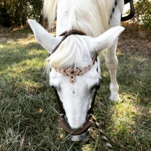 IMG_20221003_191945_541